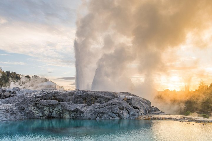 Private Tauranga Day Trip - Te Puia Geysers. A Volcanic Landscape - Photo 1 of 10